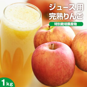 ランキング1位獲得！ 訳あり 長野県産 りんご 1kg 特別栽培農産物 樹上完熟 蜜入り 林檎 甘いリンゴ ジュース用 林檎ジュース 人参ジュース 国産 ダイエット アップルファームさみず