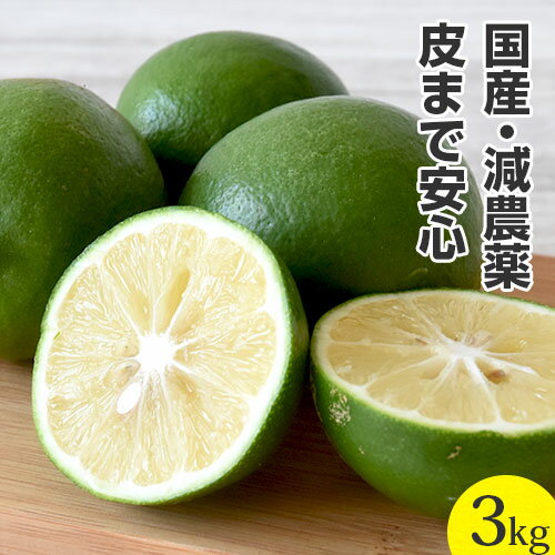 【訳あり】 国産 レモン 3kg 特別栽培 佐賀県産 3キロ 国内産 国産レモン 家庭用 訳あり ジュース用 れもん 檸檬 果汁たっぷり 減農薬 防腐剤不使用 防カビ剤不使用 にんじんジュース 人参ジュース ゲルソン療法 レモネードのサムネイル