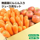 【訳あり】 無農薬にんじん 入り にんじんりんご ジュース用 セット ( にんじん 5kg ＋ りんご 5kg ) 送料無料 無農薬人参 人参 ニンジン 特別栽培 にんじんジュース 人参ジュース コールドプレスジュース 野菜セット 野菜 ゲルソン療法