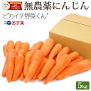 【クール代込み】 訳あり 無農薬にんじん 5kg 常温便 送料無料 国産 有機JAS認証 ゲルソン療法 無農薬人参 にんじん 人参 人参ジュース にんじんジュース ニンジンジュース 野菜ジュース ジュ…