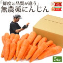 雑誌で紹介!【クール便価格】 訳あり 無農薬 人参 5kg 送料無料 にんじん ニンジン 無農薬にんじん 無農薬人参 有機人参 有機 有機JAS認証 国産 規格外 ジュース用 野菜 人参ジュース にんじんジュース ニンジンジュース ゲルソン療法 野菜ジュース 無添加 スロージューサー