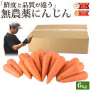 雑誌で紹介!【クール便価格】 訳あり 無農薬 人参 6kg 送料無料 にんじん ニンジン 無農薬にんじん 無農薬人参 有機人参 有機 有機JAS認証 国産 規格外 B品 ジュース用 人参ジュース にんじんジュース ニンジンジュース ゲルソン療法 無添加 スロージューサー 鮮度保持袋