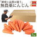 雑誌で紹介!【クール便価格】 訳あり 無農薬 人参 7kg 送料無料 にんじん ニンジン 無農薬にんじん 無農薬人参 有機人参 有機 有機JAS認証 国産 規格外 B品 ジュース用 野菜 人参ジュース にんじんジュース ニンジンジュース ゲルソン療法 スロージューサー 鮮度保持袋