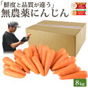 雑誌で紹介! 訳あり 無農薬 人参 にんじん 8kg 8キロ 送料無料 クール便込 無農薬人参 無農薬にんじん 無化学肥料栽培 洗い ニンジン 有機人参 有機 ...