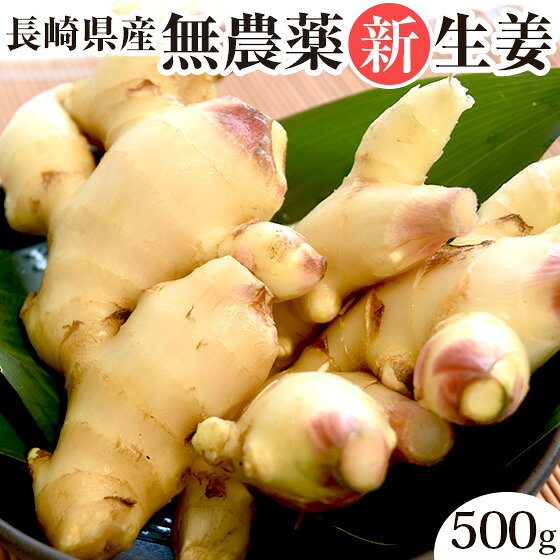 農薬・化学肥料不使用の生姜 のご紹介 ピカイチ野菜くんで販売している生姜は、農薬・化学肥料不使用栽培の（無農薬）生姜です。 土壌消毒をしない、除草剤を使用しないこだわりの畑から野菜を作っています。 「何事も生産者が自ら主体的に考え行動・実行し、自分たちが生産したものを責任をもって消費者の皆さんに届ける」をモットーにしている生姜の生産者さんのこだわりの畑・農家で育った無農薬栽培の生姜は質も違いまとめ買いするお客様も多くいらっしゃいます。 食べ物はお客様の身体に直結してくるものです。 安心・安全でもちろん美味しい生姜が一番ですね。 ピカイチ野菜くんでは、お客様に安心・美味しい生姜を自信を持ってお届けしております。 農薬・化学肥料不使用の生姜 の詳細 内容量 500g 栽培方法 農薬・化学肥料不使用栽培 同梱について 一個口の重量制限が13kgとなりました。 詳しい情報はこちらから □同梱の重量制限について□ 発送方法 クール便でお届け致します。※北海道へのお届けは人参が凍ってしまう為、クール便にてお届け致します。 送料について 送料についてはコチラをご覧ください 他の数量もございます 生姜100g　　　 生姜500g 　　　 生姜1kg/2kg/3kg/4kg　　 農薬・化学肥料不使用の生姜のおすすめポイント 生姜の効能・効果 身体に良いイメージが強い生姜。実際には、どのような栄養や働きがあるのでしょうか。まず、血行促進には「生」の生姜がおすすめです。生姜の辛み成分である ジンゲロール には、血流を良くしたり、発汗を促す作用があります。さらに、生姜を加熱するとジンゲロールの一部が ショウガオール へと変化します。ショウガオールは 身体を芯から温める作用 が強く、加熱することで温め効果がより高まります。そのため、冷え性対策には加熱して料理に取り入れるのが効果的です。 生姜は万能薬？！ 薬味としておなじみのショウガには、ジンゲロールなどの辛味成分が含まれ、抗炎症作用があるといわれています。この働きから、胃の調子をサポートしたり、消化器官に良い影響をもたらす可能性があるとも考えられています。さらに、体質改善や血中コレステロールのサポート、血液をさらさらに保つ働き、肥満対策を意識する方にも注目されている食材として、健康志向が高まる今、注目を集めています。また、ショウガは漢方にも欠かせない存在で、葛根湯や桂枝湯など多くの漢方薬に配合される素材としても知られています。 生姜の保存方法 生姜をそのまま冷蔵庫で保存していると、表面が乾燥したり、切り口にぬめりやカビが出てしまった…そんな経験がある方も多いのではないでしょうか。実は、生姜は 「お水」に漬けるだけで簡単に鮮度を保つことができるのです。 今回は、その手軽な保存方法をご紹介します。まず、生姜の表面についた ぬめりや汚れをしっかり洗い落とします。その後、生姜が入る大きさの瓶や保存容器に入れ、全体が浸る量のお水を注ぎ、フタを閉めて冷蔵庫で保存してください。使用する際、そして 水はこまめに交換することで鮮度が長持ち！とても簡単な方法なので、まとめ買いした時にもおすすめです。 新生姜と古根生姜の違い ◆ 新生姜（ハウス栽培） 新生姜はハウスで育てられた生姜で、成長が早く、約2ヶ月間しか出回らない貴重な品種です。 みずみずしく、辛みがやさしいのが特徴で、薬味はもちろん、甘酢漬けなどにもぴったり。 ピカイチ野菜くんでも、入荷を心待ちにしてくださる方が多い人気商品です。 限られた期間だけ楽しめる新生姜を、ぜひ販売時にご検討ください。 ◆ 古根生姜（露地栽培） 古根生姜は露地で育てられ、11月頃から収穫を始め、翌年7月頃まで保管しながら自然に熟成していきます。 収穫初期のものは新生姜に見た目が似ていますが、味わいは新生姜よりも辛みがしっかりしています。 熟成が進むと水分が抜け、繊維が締まり、より風味豊かな辛みが増していくのが特徴です。 季節とともに変化する生姜の味わいを、ぜひお楽しみください。 生姜を使ったおすすめ料理 自然栽培に近い無化学肥料栽培の生姜は、素材本来の風味がしっかり感じられるため、さまざまな手作り料理に安心してお使いいただけます。生姜湯や生姜茶（ジンジャーティー）をはじめ、手作りジンジャーエール、甘酢漬け・生姜シロップ・ピクルス、自家製乾燥生姜や酢しょうが、おかず生姜などにもぴったり。乾燥させてショウガパウダー（しょうがパウダー）として活用するのもおすすめです。また、生姜は無添加食品やオーガニック食品の材料として選ばれることが多く、自然食品や健康志向のアイテムとして注目されています。 生姜の産地 生姜には高知県・熊本県・千葉県などさまざまな産地がありますが、当店の生姜は 長崎県・島原自然塾さんによる農薬・化学肥料不使用の栽培です。 デザイナーフーズでも重要性の高い生姜 デザイナーフーズとは、1990年にアメリカの国立ガン研究所ががん死亡の増加を懸念して長年の疫学研究データに基づきガン予防に効果がある野菜と果物をまとめたものとなります。 デザイナーフーズピラミッドと呼ばれる表でも生姜は効果の大きい野菜となります。 生姜の辛み成分と、生姜の抗酸化作用が抗炎症・抗がん・発がん抑制・老化防止にも良いとされているからです。 積極的に食生活に取り入れたい食材の1つです。 ご注意事項 ・ゲルソン療法は民間療法であり、一般的な医療行為ではありません。療養中や食事療法を行われている方が実践する場合は、必ず担当医にご相談ください。 ・クレンズジュース、ジュースクレンズ、クレンズダイエット、置き換えダイエットなどは、体質や体調によって合わない場合があります。実施する際は、専門家の指導のもとで行うことをおすすめいたします。 （※当店では、温活・予防医学の専門家・石原新菜先生が監修したジュースクレンズセットもご用意しております。） ・本品は、健康維持・疲労回復・体質改善・免疫サポート・がん治療・デトックス効果などを保証するものではなく、それらの効果が実証されているものではありません。 ・こちらの生姜は黄金生姜や国産黒蒸し生姜ではございません。 ▼にんじんと一緒に購入なら送料無料でお届け▼希少な長崎県産 無農薬生姜 生姜は、健康を意識する人から注目される「デザイナーフーズ」と呼ばれる食材のひとつです。 料理の薬味としてはもちろん、いつものにんじんジュースに加えて、 アクセントとして楽しむのもおすすめです。