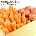 送料無料 無農薬にんじん野菜セット（無農薬にんじん5kg＋りんご3kg） にんじんジュース キット コールドプレスジュース用 朝食キット 常温便 りんご 無農薬 酵素 生酵素 ゲルソン療法 あす楽