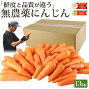 雑誌で紹介!【クール便価格】 訳あり 無農薬 人参 13kg 送料無料 にんじん ニンジン 無農薬にんじん 無農薬人参 有機人参 有機 有機JAS認証 国産 規格外 ジュース用 野菜 人参ジュース にんじんジュース ニンジンジュース ゲルソン療法 無添加 スロージューサー 鮮度保持袋
