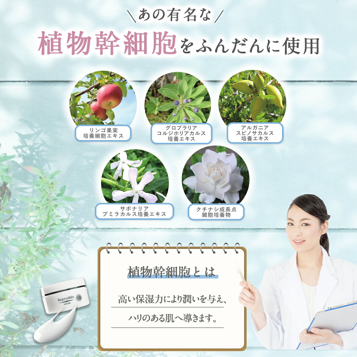 スキンケアセット医薬部外品薬用洗顔化粧水クリームセットリプロスキンevo1ローションスキンケアフォーム100gジェルクリーム50gニキビメンズレディース洗顔料高保湿クレーター色素沈着消し凸凹敏感肌乾燥肌毛穴用あごおでこ鼻アクネ対策