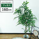 【SALE!クーポン配布中】 人工観葉植物 高さ160cm フィカス 大型 フェイクツリー フェイクグリーン 観葉植物 造花 インテリア リアル おしゃれ 樹 木 室内 持ち運び お祝い 160cm 新生活