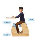 矯正チェア 椅子 姿勢 プロモーションチェア オフィスチェア ビジネスチェア ワークチェア 学習チェア スクールチェア 背筋 自然体 テレワーク リモートワーク 学生 社会人 幼児　子供 大人 男子 女子