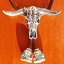 ループタイ カジュアル ネクタイ ボロタイ 北米 バイソン 頭蓋 骨 西 インディアン 部族 崇拝 植物 タンニン スエード ロープ