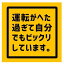 運転がへた過ぎ UVカット 防水 カー ステッカー