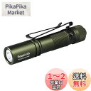 ACEBEAM Pokelit AA 懐中電灯 小型 軽量 強力 550ルーメン単三 3段階調光 高演色性 Ra90 IP68防水 最大9日の実行時間 安定した...