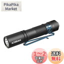 ACEBEAM Pokelit AA 懐中電灯 小型 軽量 強力 550ルーメン 高演色性 Ra90 3段階調光 500回以上充電可能です 1x単三に対応 IP...