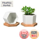 T4U 7CM 植木鉢 多肉植物鉢 サボテン鉢 陶器鉢 ミニ鉢 竹トレー付き 底穴付き 白 2個入り 母の日ギフト