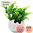 TOSSOW 植木鉢 陶器鉢 卵形 多肉植物、サボテン鉢 ハーブ プランター容器 おしゃれ プレゼント ミニ ホワイト