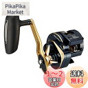 ダイワ(DAIWA) 21 ソルティガIC 300H-SJ