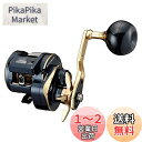 ダイワ(DAIWA) 21 ソルティガIC 300L