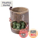 NUOLUX 植木鉢 園芸ラック 可愛い 多肉植物 サボテン 鉢 蛙 クリエイティブ カエル ミ二植木 プランター 動物セット 家装飾 プレゼント 7cm*7c...