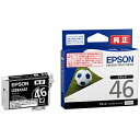 Gv\ CN ICBK46A1 ubN Pi b EPSON