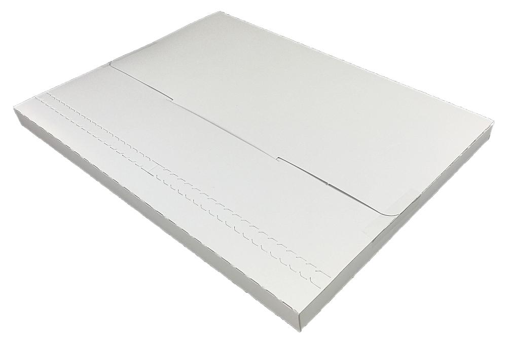 メール便専用ケース A4サイズ 400枚 | EMS-BOX-A4 ビジネス 仕事 郵便 郵送用 配達 手紙 封筒 レターケース 宅配 配達 パック サイズ別 ...