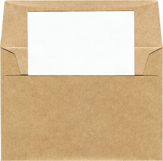 ビジネスレターケース メール便対応サイズ 100枚 | EMS-MAIL ビジネス 仕事 郵便 郵送用 配達 手紙 封筒 レターケース 宅配 配達 パック サイ...