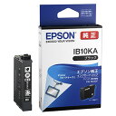 Gv\ CN IB10KA ubN Pi b EPSON