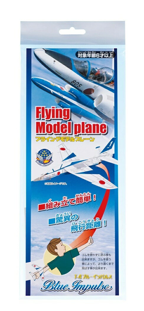 �ե饤�󥰥�ǥ�ץ졼�� �֥롼����ѥ륹