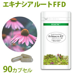 ECLECTIC/エクレクティック エキナシア/エキナセア 根 FFD エコパック 90cp ギフト プレゼント 贈り物 誕生日