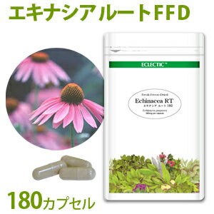 送料無料　DHC エキナセア 30日分　3袋　※定形外郵便発送