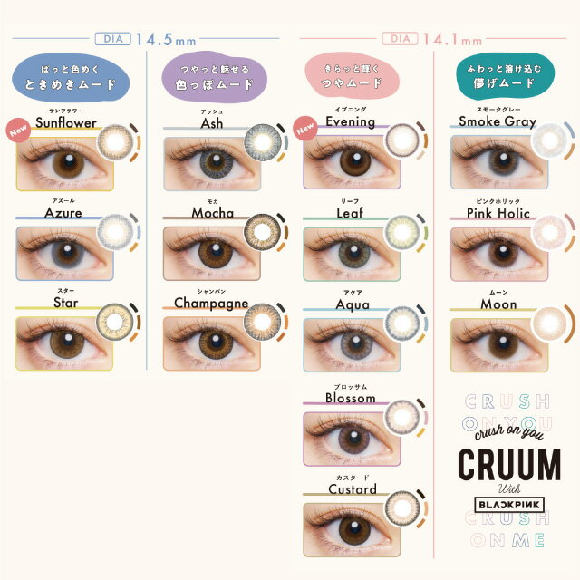 カラコン ワンデー クルーム 【1箱10枚入】【メール便送料無料】CRUUM BLACK PINK ブラックピンク 14.1mm 14.5mm 1day 1日使い捨て 度あり 度なし カラコン コンタクトレンズ※代引・同梱・日時指定不可※ カラコン 高発色 グレー グリーン ブラウン ブルー