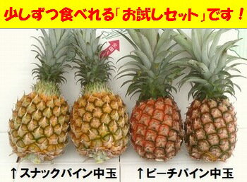 スナック・ピーチお試しセット中玉各1玉、計2玉入り2024年、沖縄・石垣島産全国送料無料！