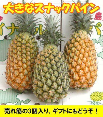 スナックパイン大玉3個入り1玉=1,3kgクラス沖縄・石垣島産全国送料無料！