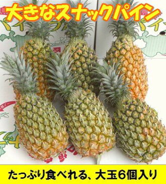 スナックパイン「大玉」6〜7個入り、1玉=1,3kg前後沖縄・石垣島産全国送料無料！