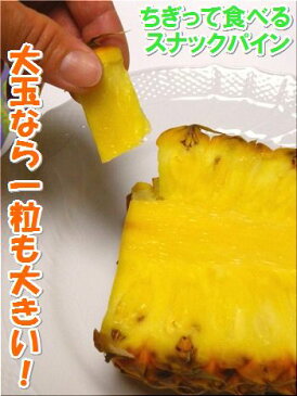 スナックパイン 大玉2個入り1玉=1,3kgクラス沖縄・石垣島産全国送料無料！