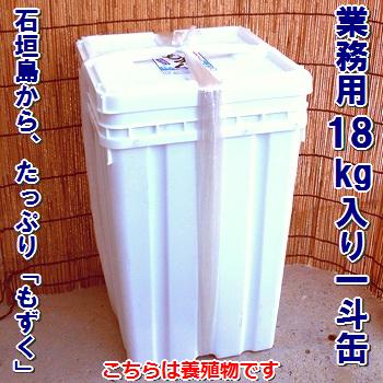 【2024年新もずく】石垣島もずく・業務用一斗缶養殖物18kg入、送料無料・沖縄県産シャキシャキタイプ塩漬け・常温半年OK