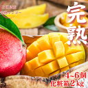 【7月中旬から順次発送・ギフト用】石垣島マンゴー2kg化粧箱入り(4~6個入)2025年、沖縄・石垣島産 全国送料無料! 冷蔵便発送