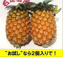 内容量 大玉黄金パイン 1玉＝約1,5kg前後×2個入り 玉が小さい場合がは3個入り 箱込重量＝約4kg 石垣島パインの専用化粧箱入り 食べ方、切り方の説明書入り 賞味期限 到着より3日以内に お召し上がり下さい。 全体が濃い黄色ならOK それまでは追熟して下さい。 保存方法 常温で追熟させて下さい。 その後はカットして 冷蔵庫で保管して下さい。 カット→冷蔵後は3日以内に お召し上がり下さい。 商品説明 最大のパイン・黄金パイン 強く甘い香り、黄色い果肉 ジューシーさもナンバー1 パインらしさ満載で満足度も大！ 自然の酸味とのバランスも 石垣島パインの特長です