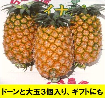 内容量 大玉黄金パイン 1玉＝約1,5kg前後×3個入り 玉が小さい場合は4個入り 箱込重量＝約6kg 石垣島パインの専用化粧箱入り 食べ方、切り方の説明書入り 賞味期限 到着より3日以内に お召し上がり下さい。 全体が濃い黄色ならOK そ...