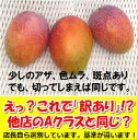 【7月中旬から順次発送】訳あり・石垣島マンゴー1kgエコ箱入り(2~4個入) 2025年、沖縄・石垣島産 全国送料無料! 冷蔵便発送