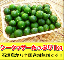 石垣島シークワサー1kg入約40〜70個入り 沖縄・石垣島産 全国送料無料！ レターパック発送※時間 ...