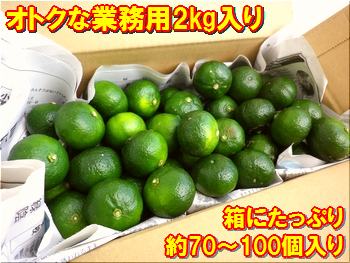 石垣島シークワサー2kg入たっぷり約70〜100個入り 業務用お買い得！ 沖縄・石垣島産 全国送料無料！