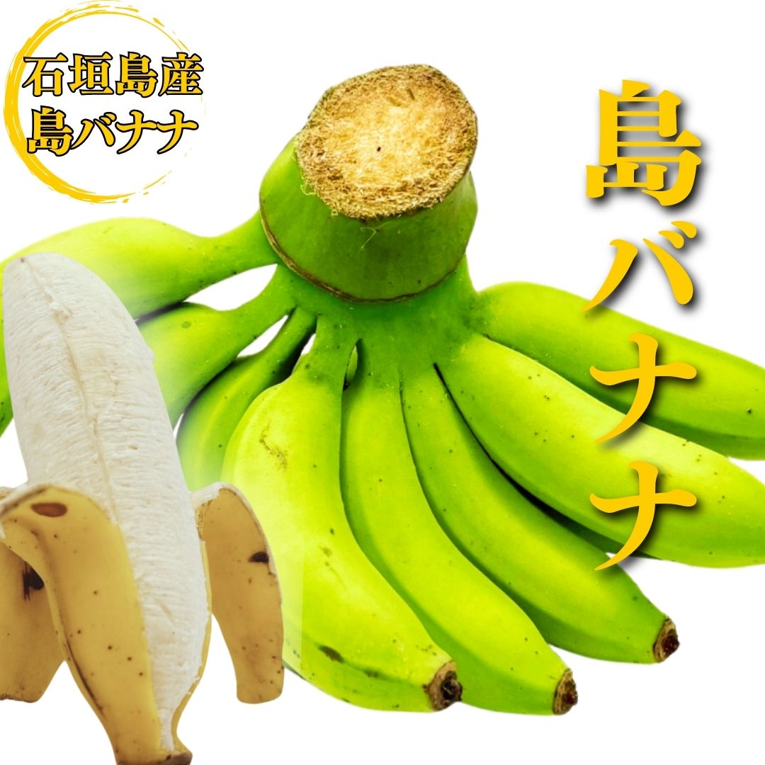 【希少】石垣島の島バナナ1〜3房 約