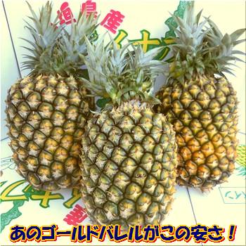 6月上旬から順次発送・ゴールドバレルパイン大玉3個4.8kg2024年・沖縄石垣島産全国送料無料！