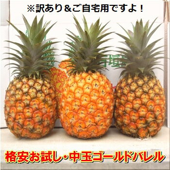 パイナップル パイン スナックパイン 島パイン 沖縄県産スナックパイン 6個入 送料無料 クール便配送 母の日 ギフト 人気 話題 甘い 金色 芯まで食べる 手でちぎれる