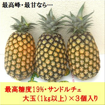 サンドルチェ大玉3個3.6kg 石垣島・新品種パイン 甘さはパイン界No.1！ 2024年、沖縄石垣島産 全国送料無料！