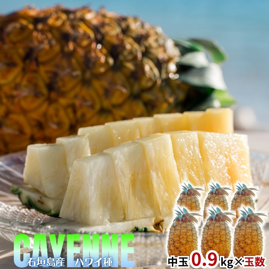 【2026年夏季発送先行販売】 ハワイ種(夏実パイン)2玉約1.9kg~6玉約5.7kg【全国送料無料】パインアップル・パイナップル・贅沢・御祝・御礼・お取り寄せグルメ・石垣島・お取り寄せ・ギフト・プレゼント・フルーツ・お中元・御中元・お歳暮（楽天・石垣島のマンゴーと大玉パイン）
