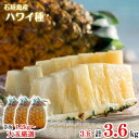 【2025年先行予約】〈2025年夏季順次発送〉 大玉ハワイ種・島パイン3玉約3.6kg【全国送料無料】パインアップル・パイナップル・贅沢・御祝・御礼・お取り寄...