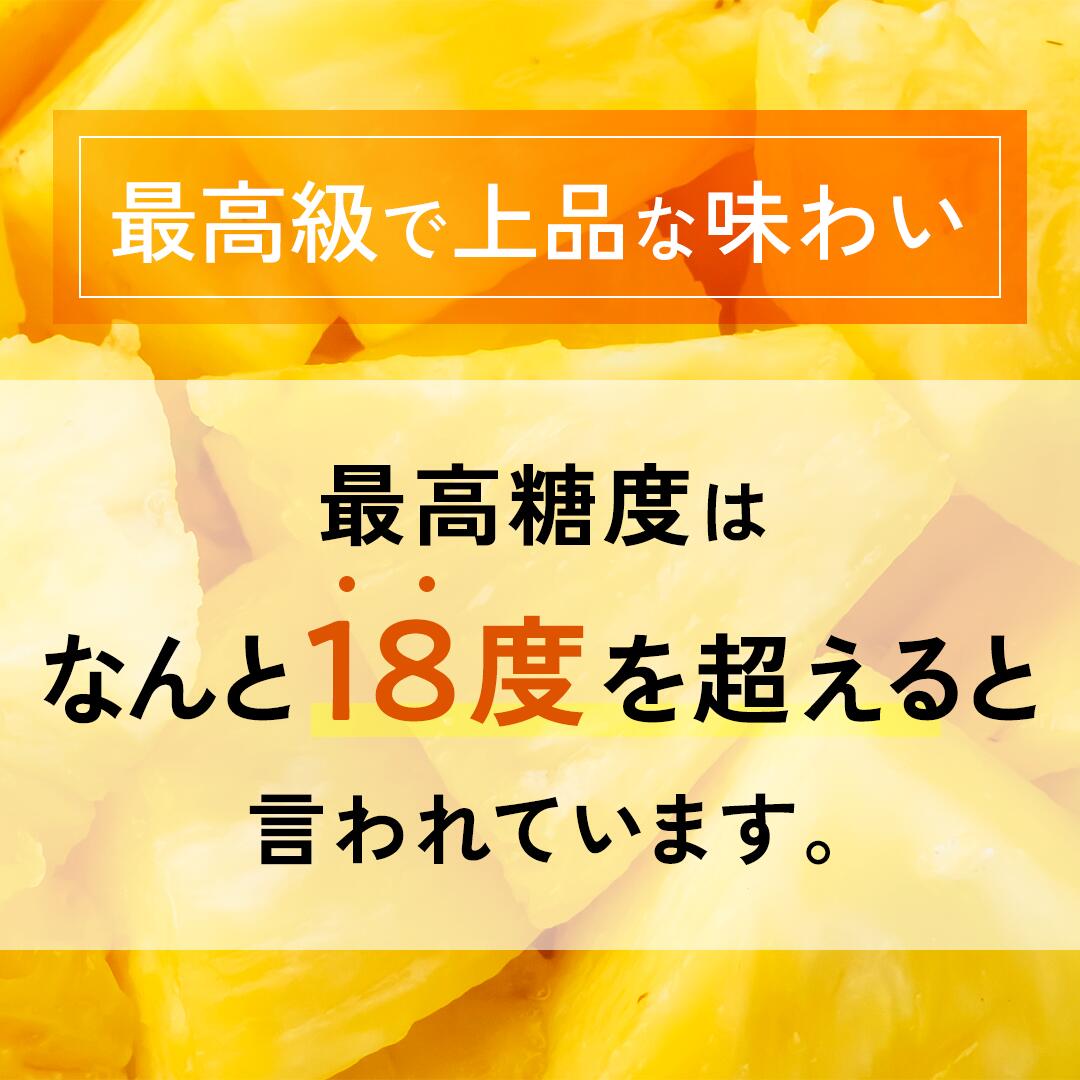 【2026年夏季発送先行販売】 ゴールドバレルパイン2玉約2.8kg~6玉約8.4kg【全国送...