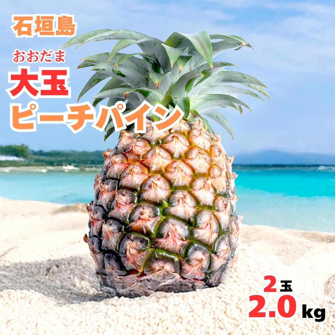 【2026年夏季発送先行販売】 大玉ピーチパイン2玉約2.0kg【全国送料無料】パインアップル・パイナップル・贅沢・御祝・お取り寄せグルメ・石垣島・お取り寄せ・ギフト・プレゼント・フルーツ・お中元・御中元・お歳暮